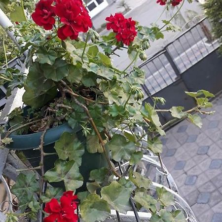 Homestay Izolda Batumi Kültér fotó